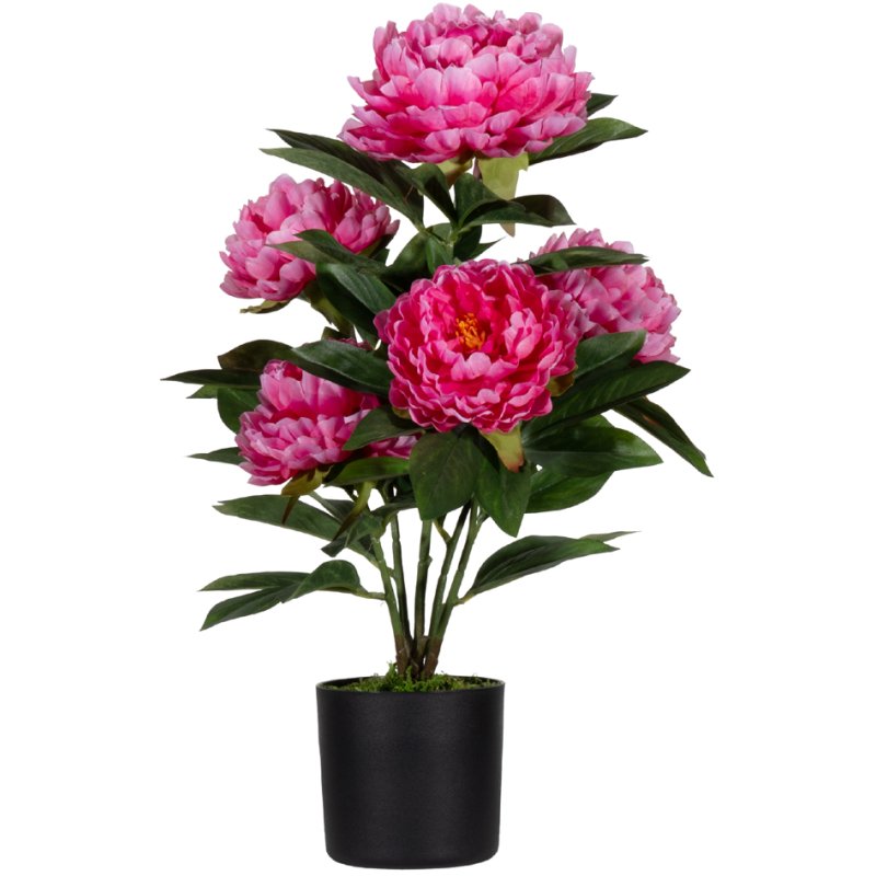 PAPERFLOW fleur artificielle pivoine, blanc, 550 mm